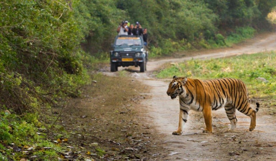 Delhi to Jim Corbett Transfer - Key Points