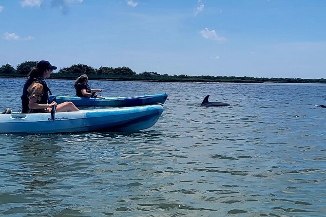 Deluxe Dolphin Kayak Tour - Key Points