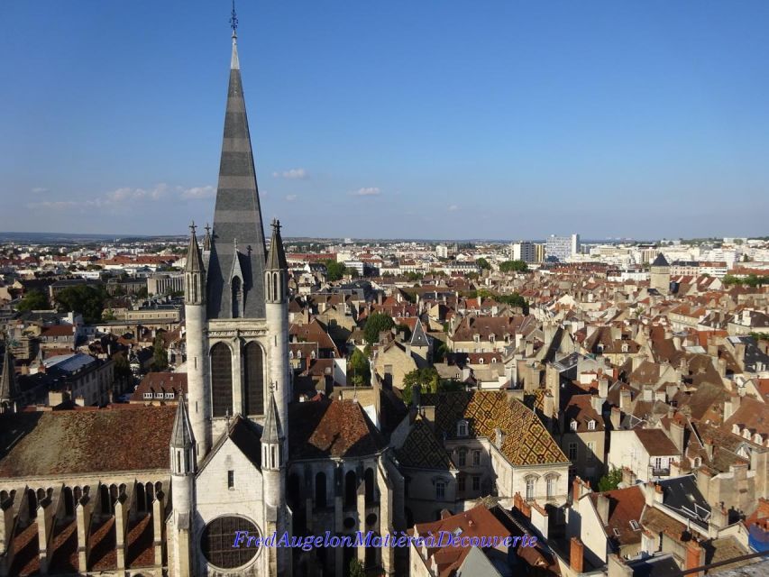 Dijon : an Over-Look at the City With Shiny Roofs ! - Key Points