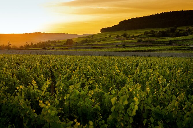 Discover Burgundy - Key Points