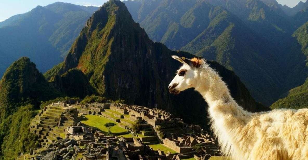 Discover Machu Picchu: Guided Group Tour Historic Site - Key Points