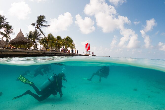 Discover Scuba Diving Experience - Overview of the Experience