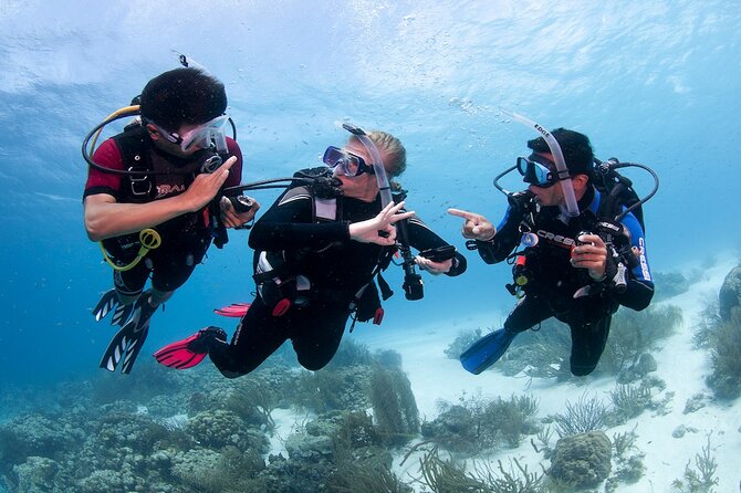 Discover Scuba Diving in Boracay With U/W Photo and Video