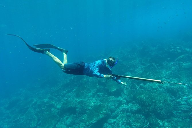 Discover Spearfishing Course - Key Points