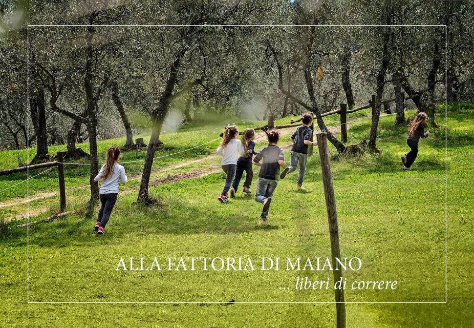 DISCOVERING AN ENGLISH GARDEN OVERLOOKING FLORENCE - Key Points