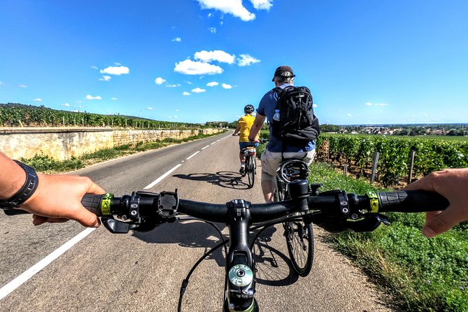 Discovery by Bike & Tasting in the Vineyards - Good To Know