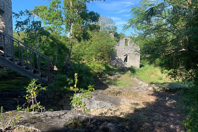 Discovery Tour and Treasure Hunt ( North and Middle Caicos) - Itinerary Highlights