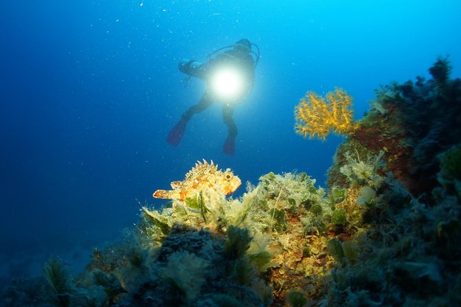 Diving Day Tour With 2 Dives - Good To Know