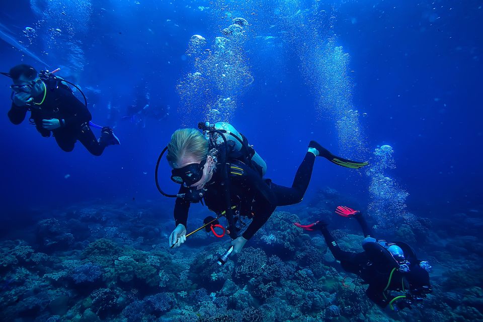 Diving Tour in Alanya - Key Points