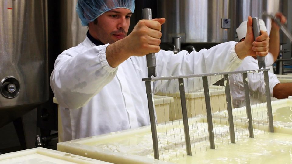 Dolianova: Visit a Cheese-Making Local Company W/ Workshop - Key Points