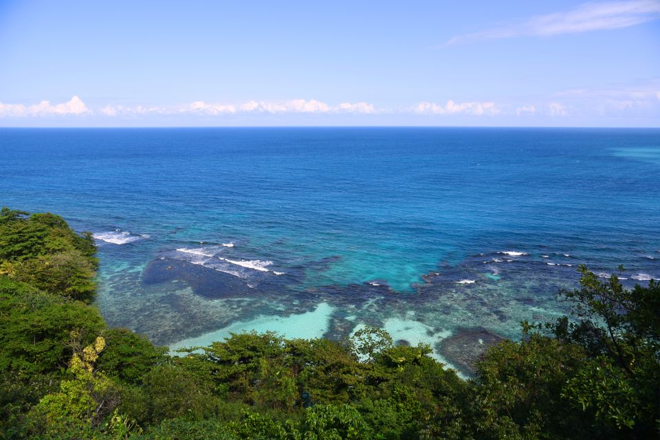 Dolphin Swim Encounter – Dolphin Cove, Ocho Rios, Jamaica - Key Points