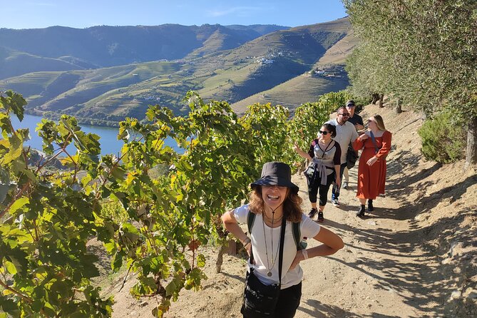 Douro Valley Premium Tours - Private Driver & Guide - Key Points