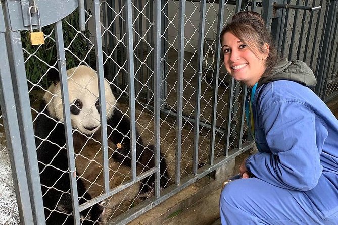 Dujiangyan Panda Volunteering Experience With Lunch - Panda Volunteer Program Details