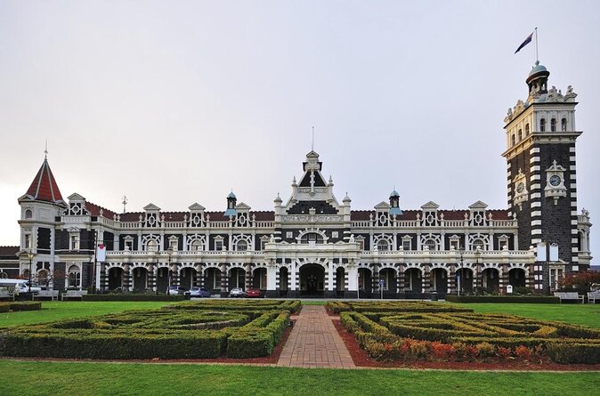 Dunedin City and Coastal Views 3-Hour Small-Group Guided Tour - Key Points