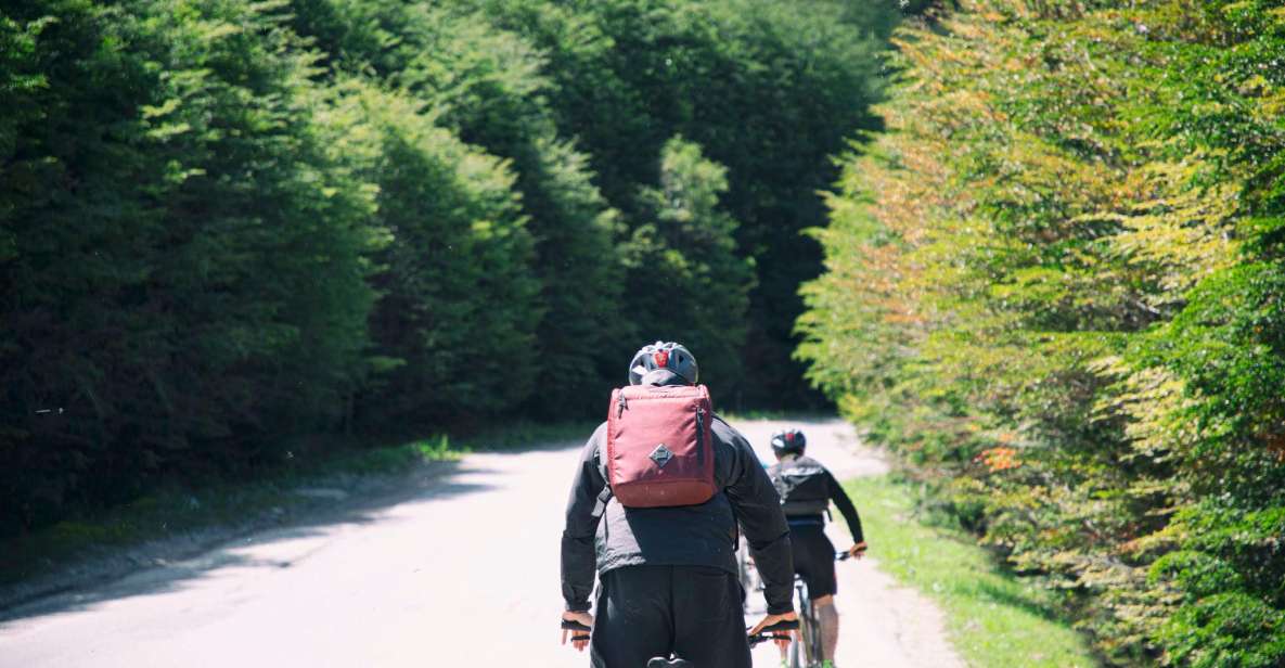E-Bike Beagle Viewpoint - Key Points
