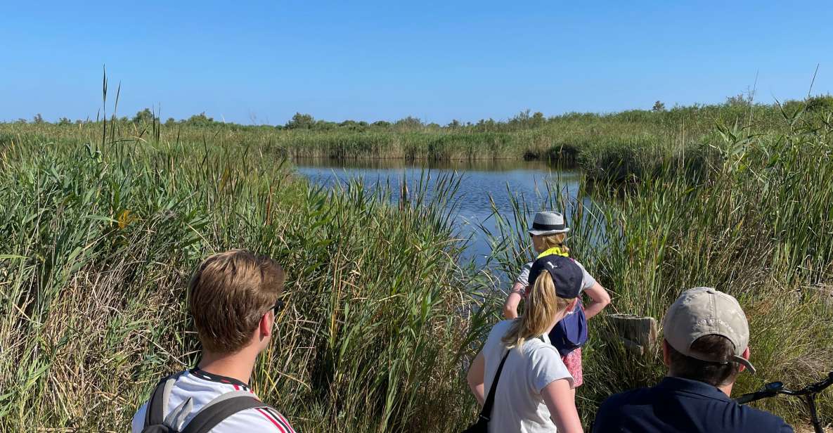 EBIKE Tour Natural Reserve With Snorkeling Session - Key Points