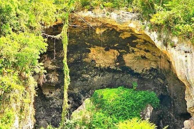 Echoes of Loiza: Art, Folklore, and Bomba Rhythms Excursion - Overview of the Excursion