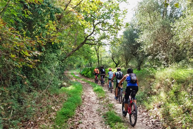 Eleftherna E-Bike and MTB Tour - Experience The Authentic Crete - Key Points