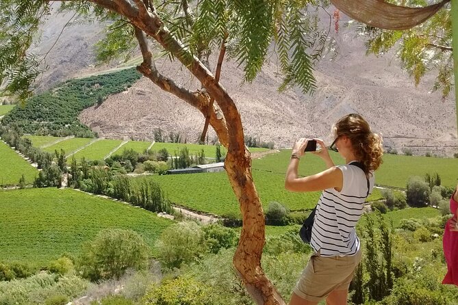 Elqui Valley Tour: Full Day History and Flavors - Overview of Elqui Valley Tour