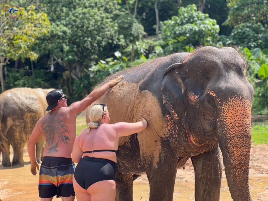 Enjoy Elephant Bathing and Herb With Elephant - Key Points