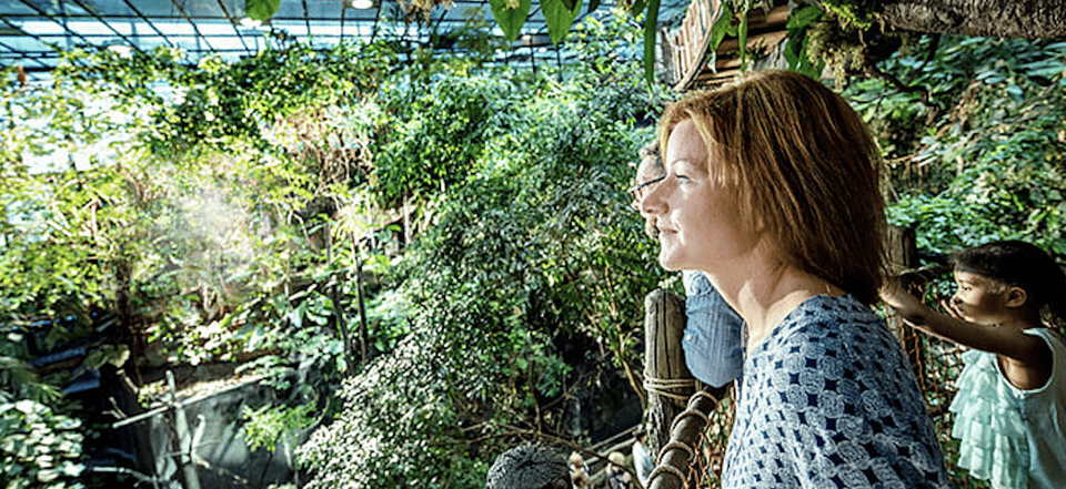 Entry Ticket to Universeum in Gothenburg With Pickup - Pickup and Drop-off Details
