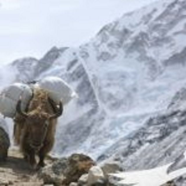 Everest Base Camp - Key Points