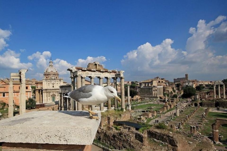 Exclusive Private Tour: Colosseum, Roman Forum, and Palatine - Key Points