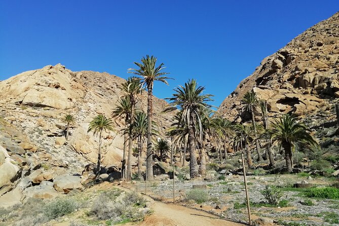 Excursion to Ajuy Caves With a Secret Las Penitas Canyon Hike - Excursion Overview