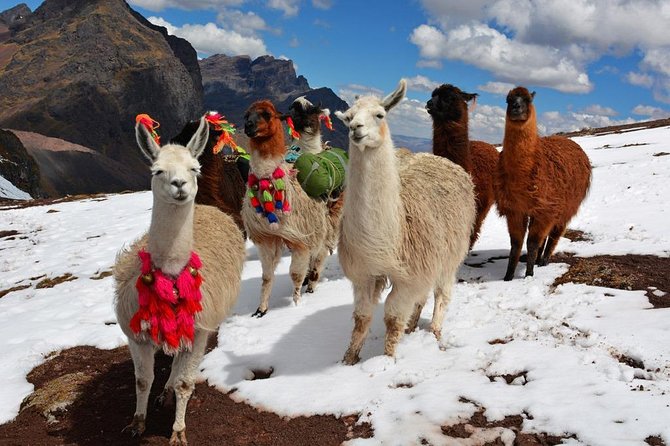 Excursion to Rainbow Mountain From Cusco || Private Tour || - Overview of the Tour