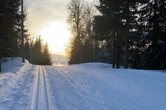 Experience Cross-Country Adventure in Tromsø - Good To Know