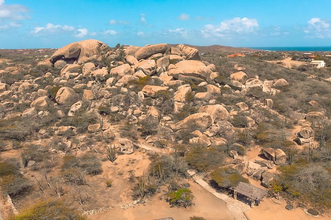 Explore Aruba Party Bus Tour - Tour Overview