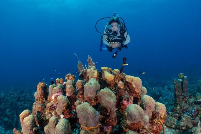 Fajardo 2-Tank Scuba Dive for Certified Divers Only - Overview of the Dive Experience