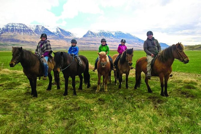 Family Friendly Horse Riding Tour in Skagafjörður - Good To Know