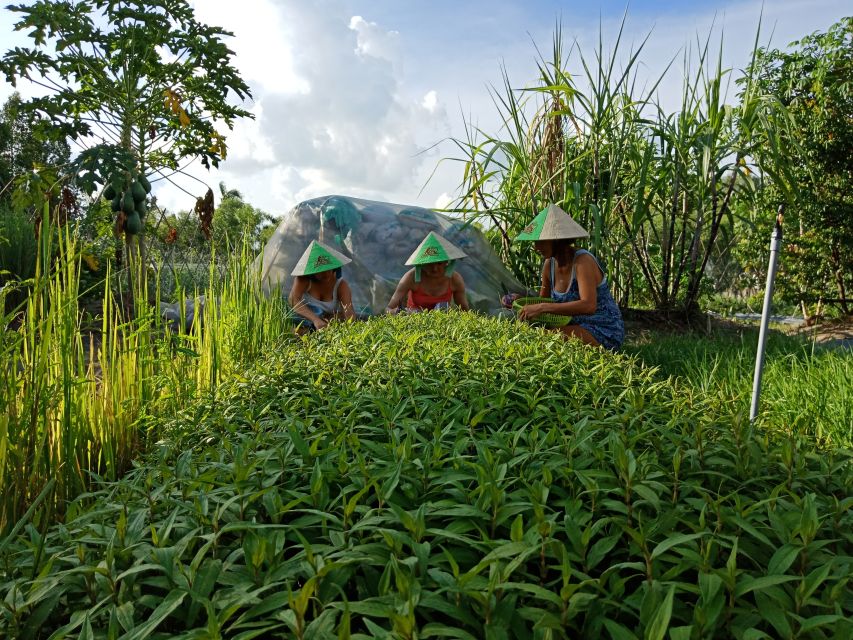 Farm-To-Table Healthy Cooking Class: Half-Day Tour - Key Points