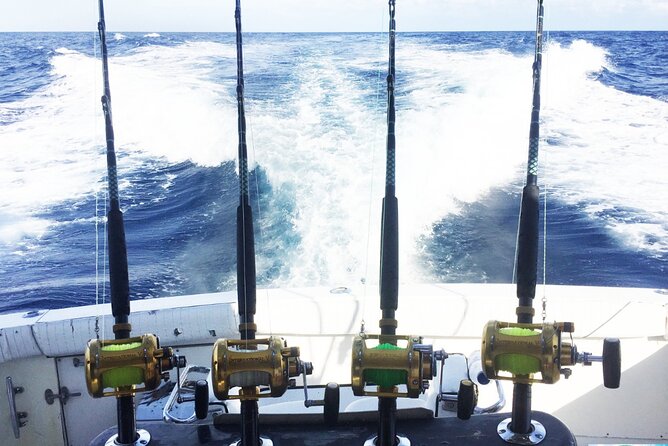 Fishing Fisherman From Punta Cana - Key Points