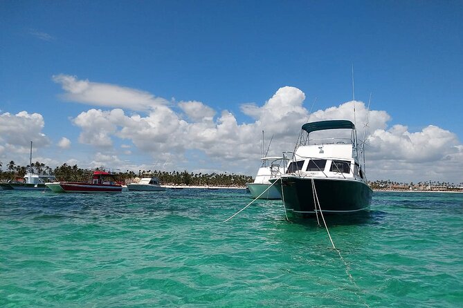 FISHING PRO CHARTERS - Boat Excursion - Divina - Overview and Pricing