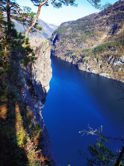 Flexible Tour to Modalen Castle Hesjedalsfossen Can Hiking - Good To Know