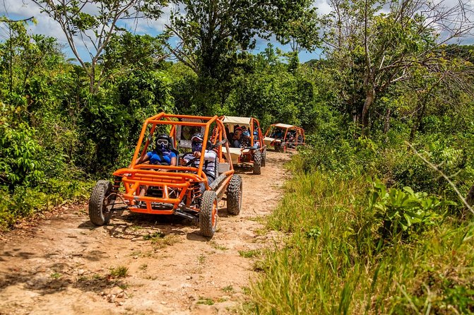 Flintstones Buggy Adventure From Punta Cana - Key Points