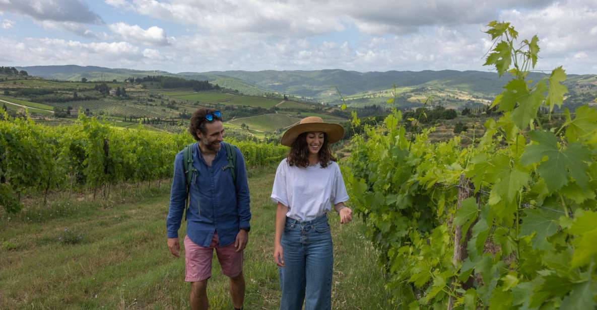 Florence: Tuscany & Chianti Classico Wine & Hike With Lunch - Key Points