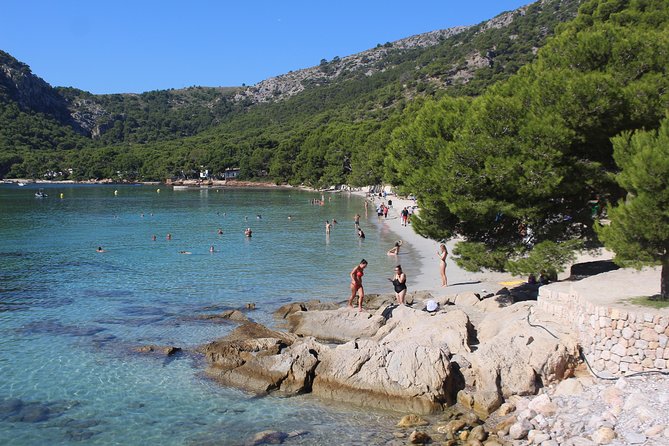 Formentor With Boat Trip + Local Market - Good To Know