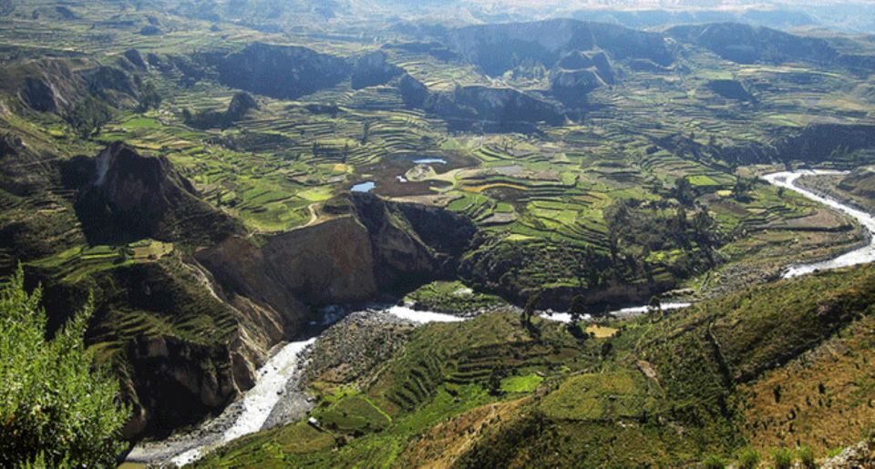 From Arequipa: Tour to Chivay & Colca Canyon - Key Points