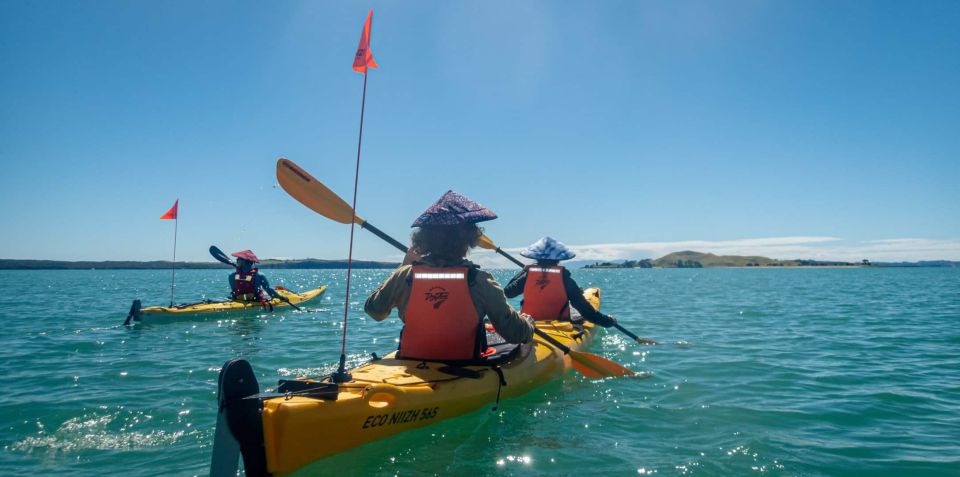 From Auckland: Browns Island Motukorea Sea Kayak Tour - Key Points