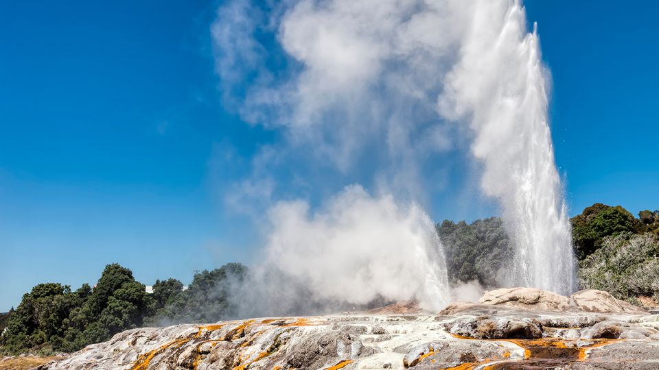 From Auckland: One-Way Trip to Rotorua With Waitomo Caves