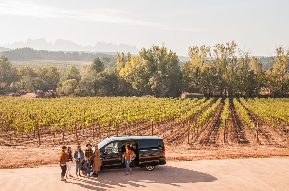 From Barcelona: Private Wine, Tapas and Cava Tour - Key Points