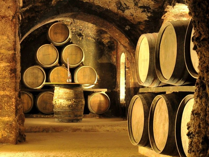From Bilbao: Rioja Wine Region With Winery & Vitoria-Gasteiz - Key Points