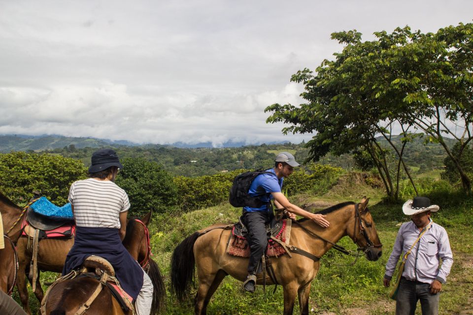 From Bogotá: San Agustín 3-Day Trip - Key Points