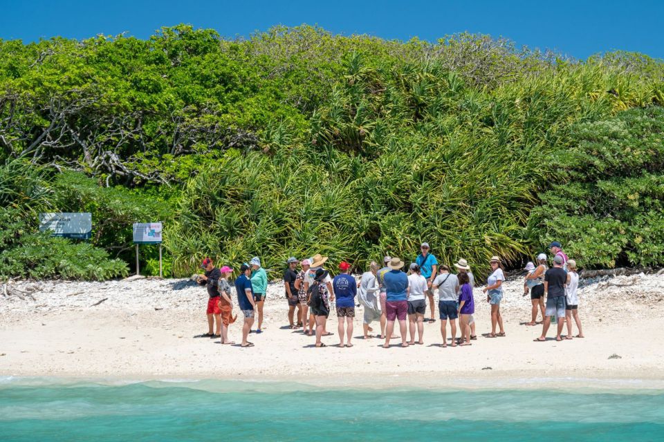 From Bundaberg: Barrier Reef & Lady Musgrave Island Day Tour - Key Points