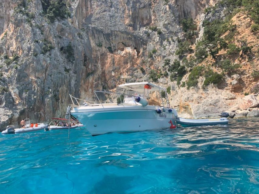 From Cala Gonone: Gulf of Orosei Speedboat Trip and Aperitif - Key Points