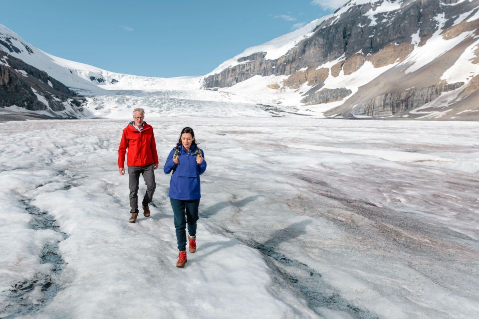 From Calgary/Banff: Columbia Icefield Day Trip - Key Points