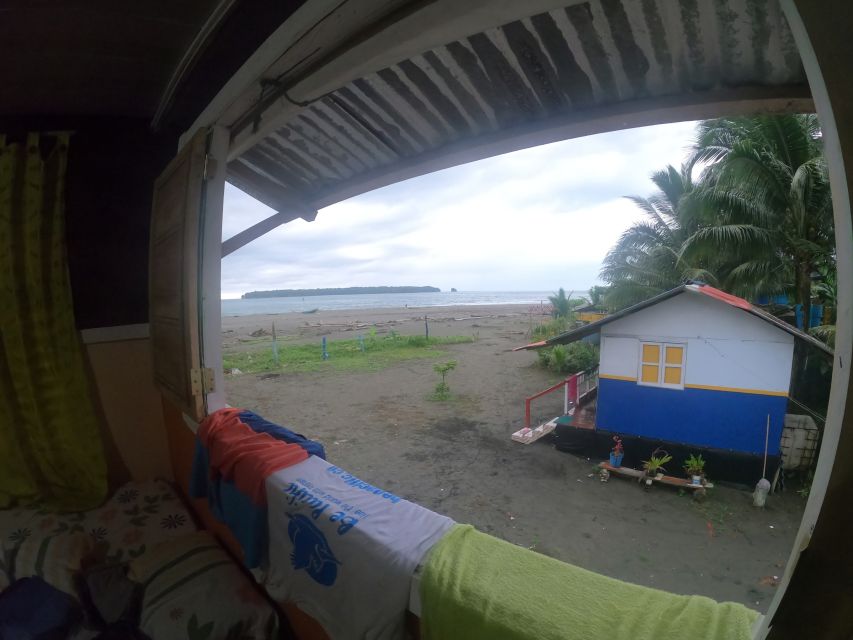 From Cali: Whale Watching Day Trip in Buenaventura - Key Points